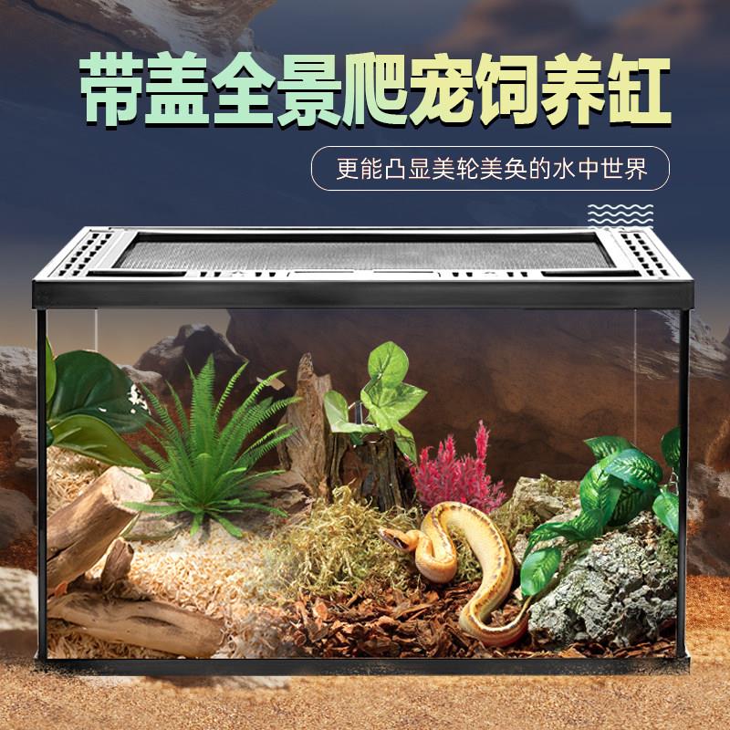 热带雨林植物生态龟缸雨淋变色龙造景缸陆龟角蛙爬虫爬宠饲养箱