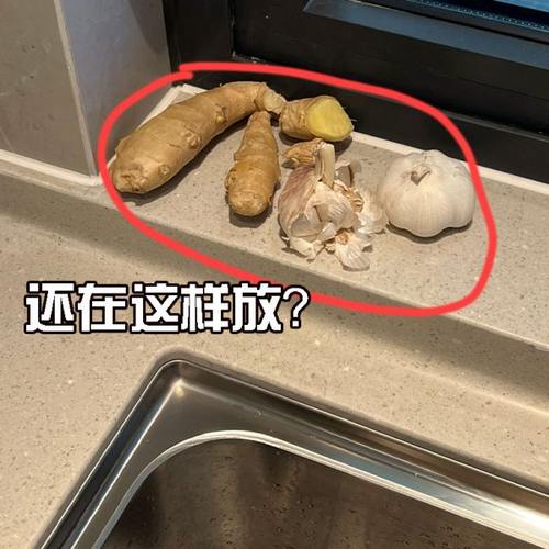 葱姜蒜还在这样放？壁挂式吸盘置物架免打孔小挂篮厨房葱姜蒜收纳