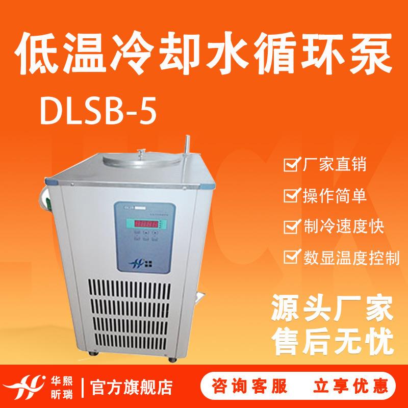 DLSB-5低温冷却液循环泵实验室制冷节能