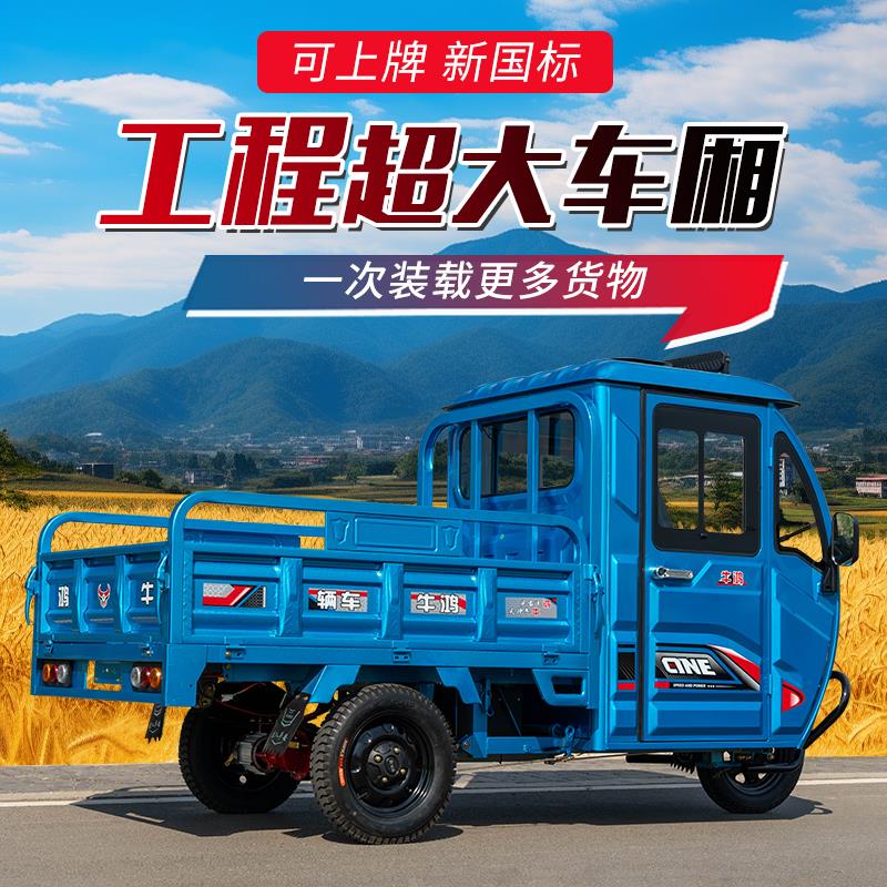 电动三轮车拉货小型家用农用载重王带雨棚一体新款国标上牌电动车