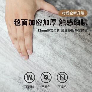 轻奢高级灰色卧室地垫家用沙发免洗可擦防水防污 地毯客厅2024新款