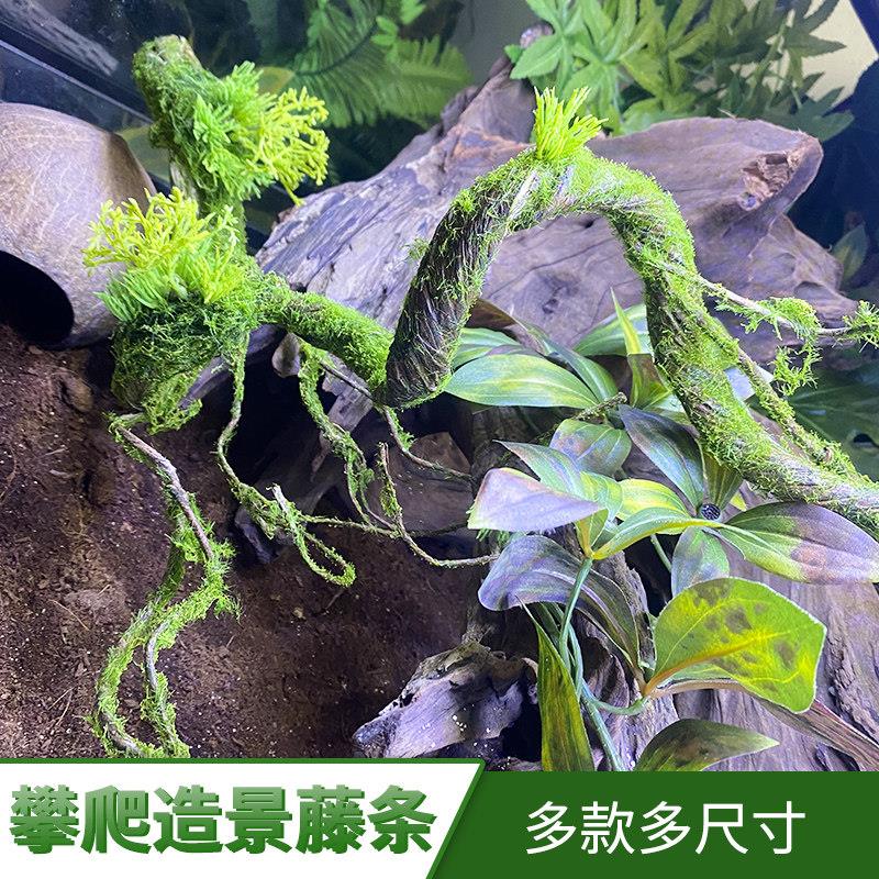 爬宠攀爬藤条爬虫缸树藤树枝蜥蜴寄居蟹陆生造景用品彷真植物装饰