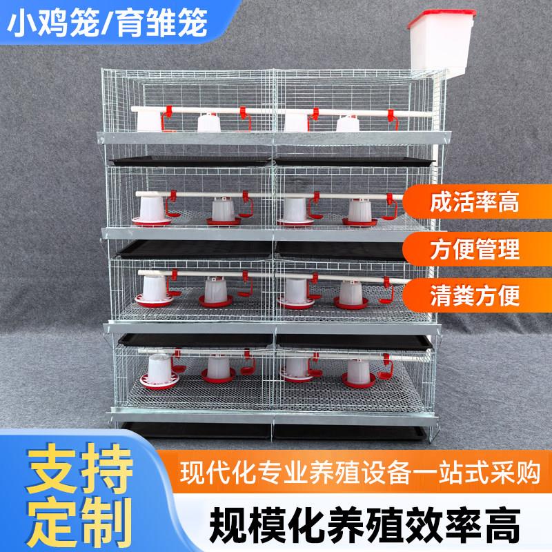 立式育雏笼小鸡笼四层一体鸡笼养殖场家用加粗加密鸡笼小鸡专用笼
