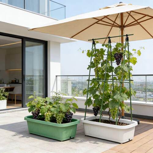 室外带轮爬藤架种植箱攀爬架露台顶楼植物阳台透气花园花架家庭