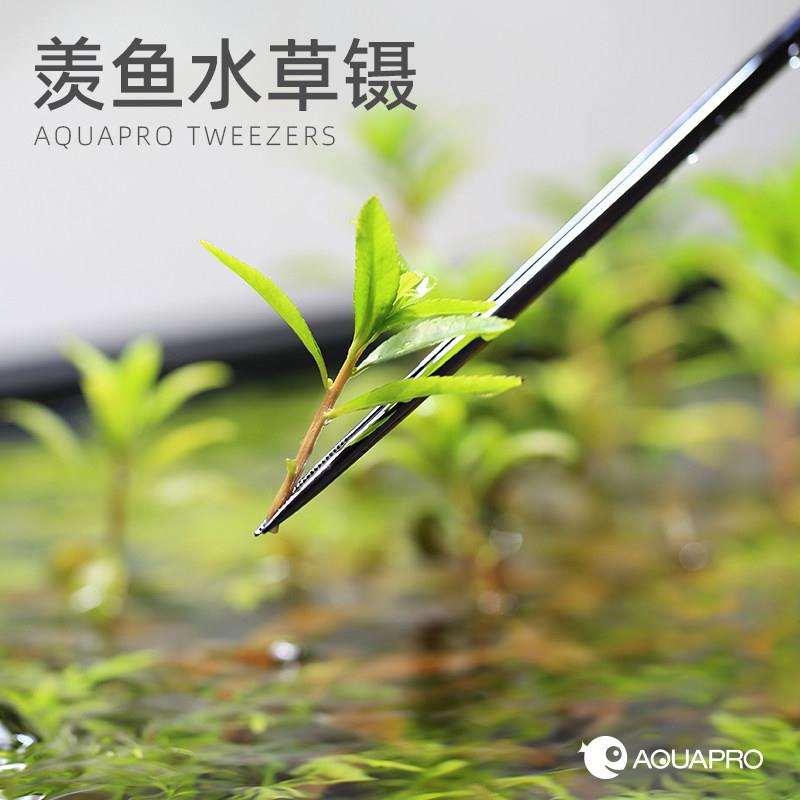羡鱼水草缸种植镊子直镊弯镊修剪刀弯剪波浪造景工具鱼缸维护尖头
