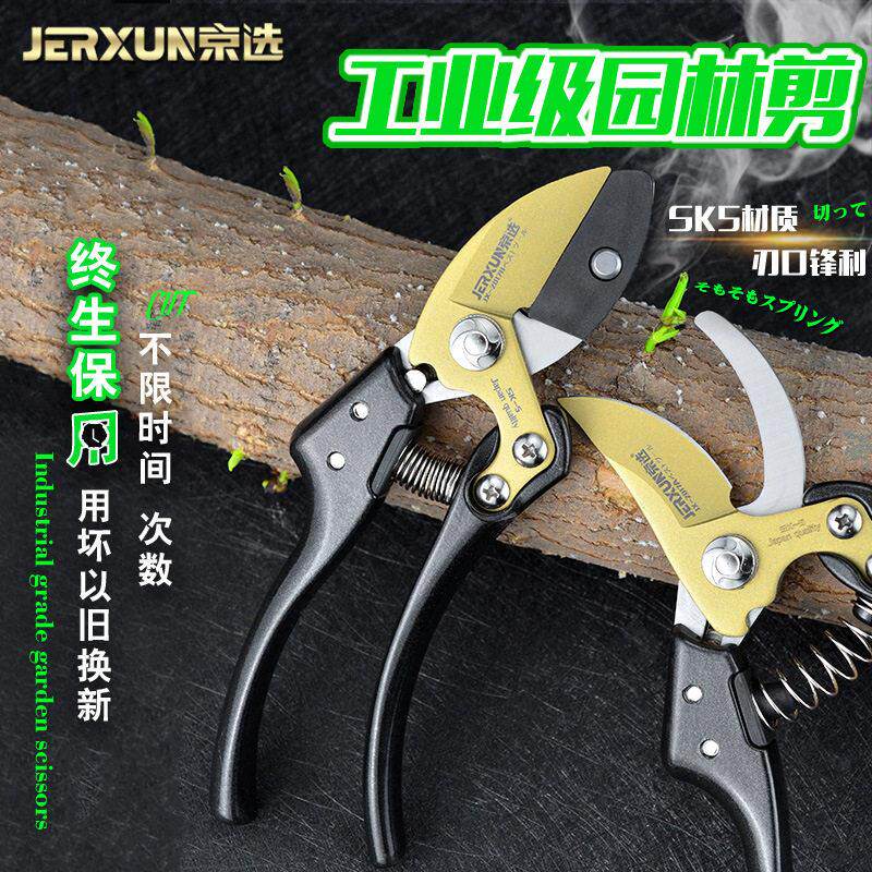 德国进口园林花艺省力粗枝剪果树树枝修剪专用园艺修枝剪刀工具组