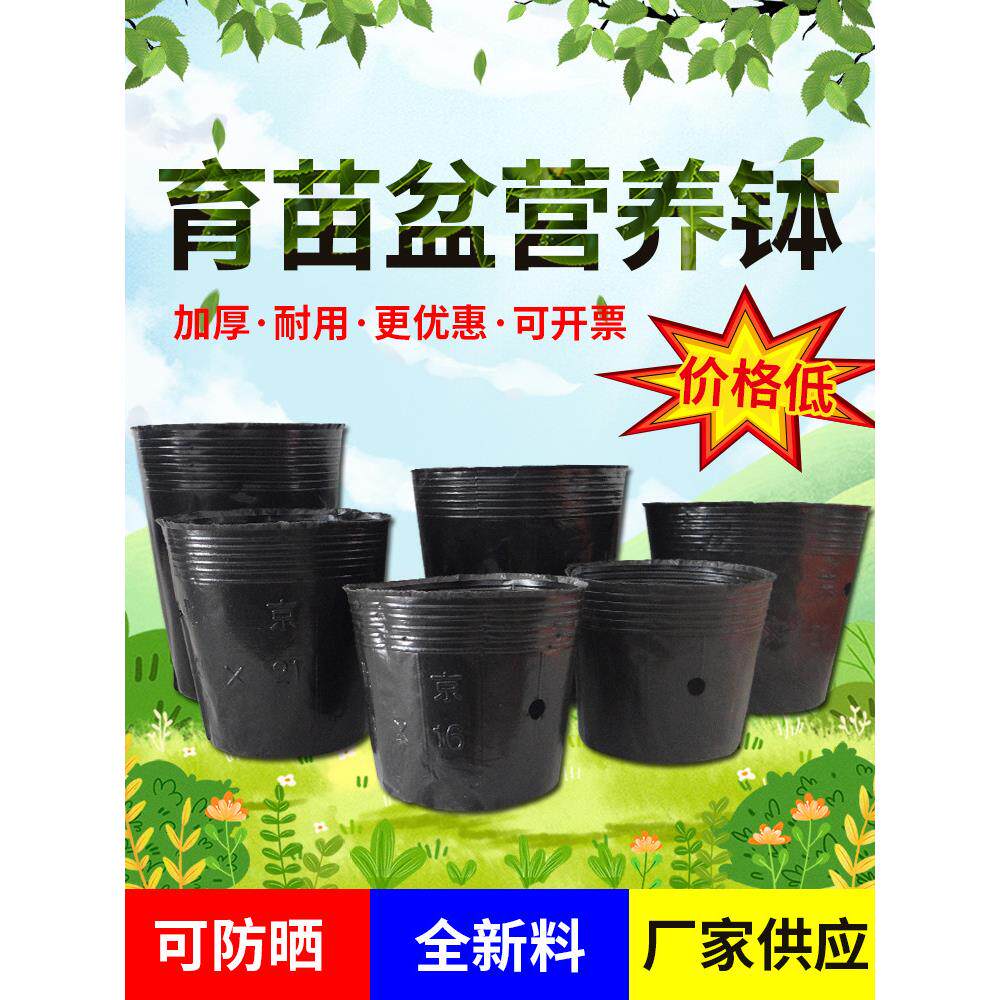 营养碗黑色营养杯塑料育苗杯一次性黑色碗多肉花盆加厚育苗袋育苗