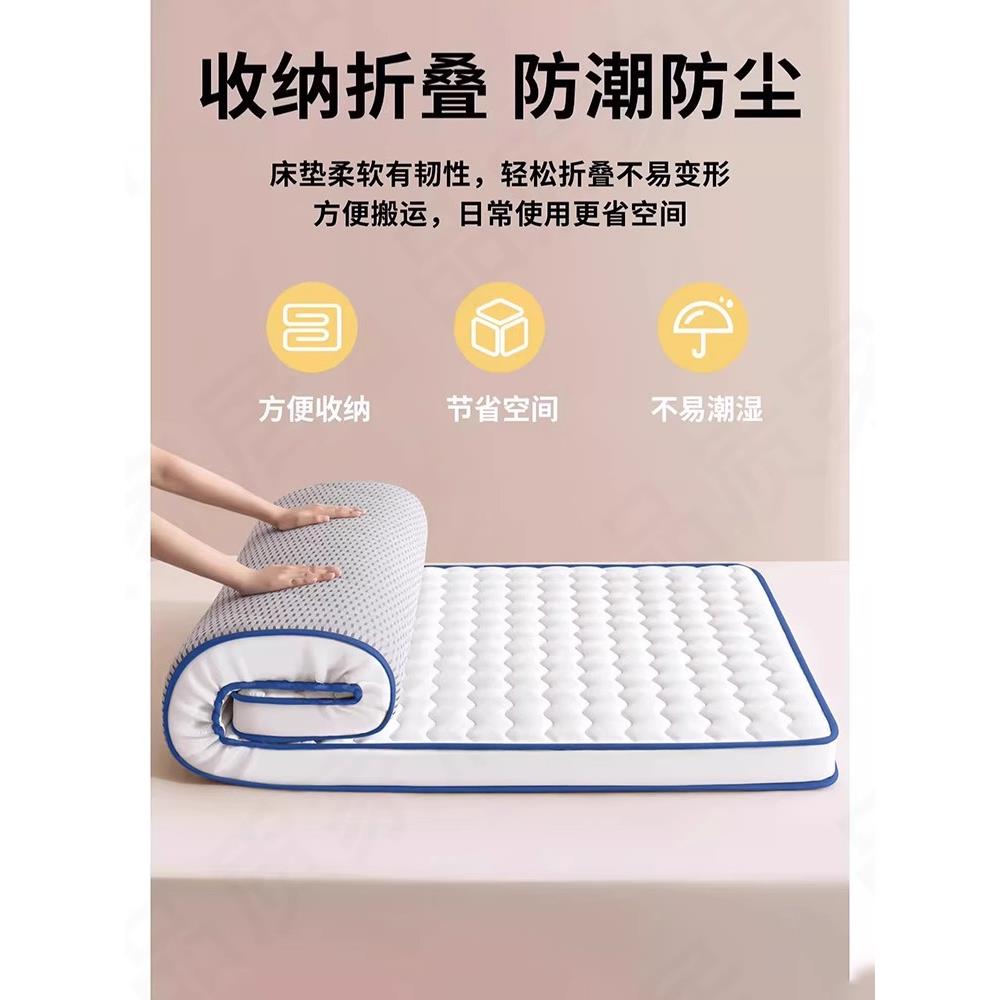 德国乳胶床垫软垫家庭宿舍学生单记忆海绵床垫抗菌地板睡垫