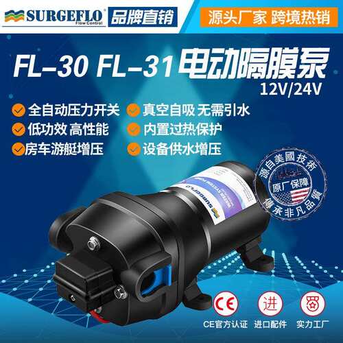 FL-30 12V24v直流电动房车游艇生活增压供水自吸清水泵户外抽水泵
