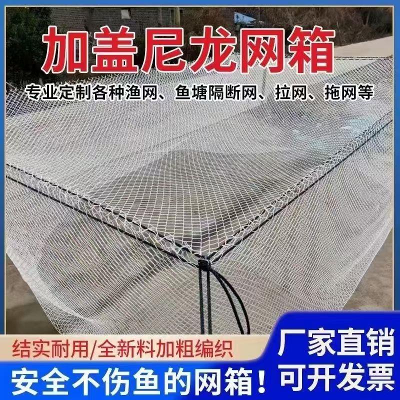 尼龙网箱养殖网箱水产养殖水产隔离网箱养大鱼箱网不伤鱼暂存网箱图片