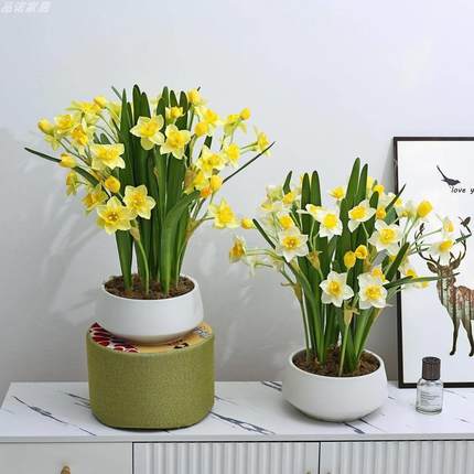 高级感仿真水仙花盆景装饰花艺绿植假花桌面摆件客厅电视柜摆设.