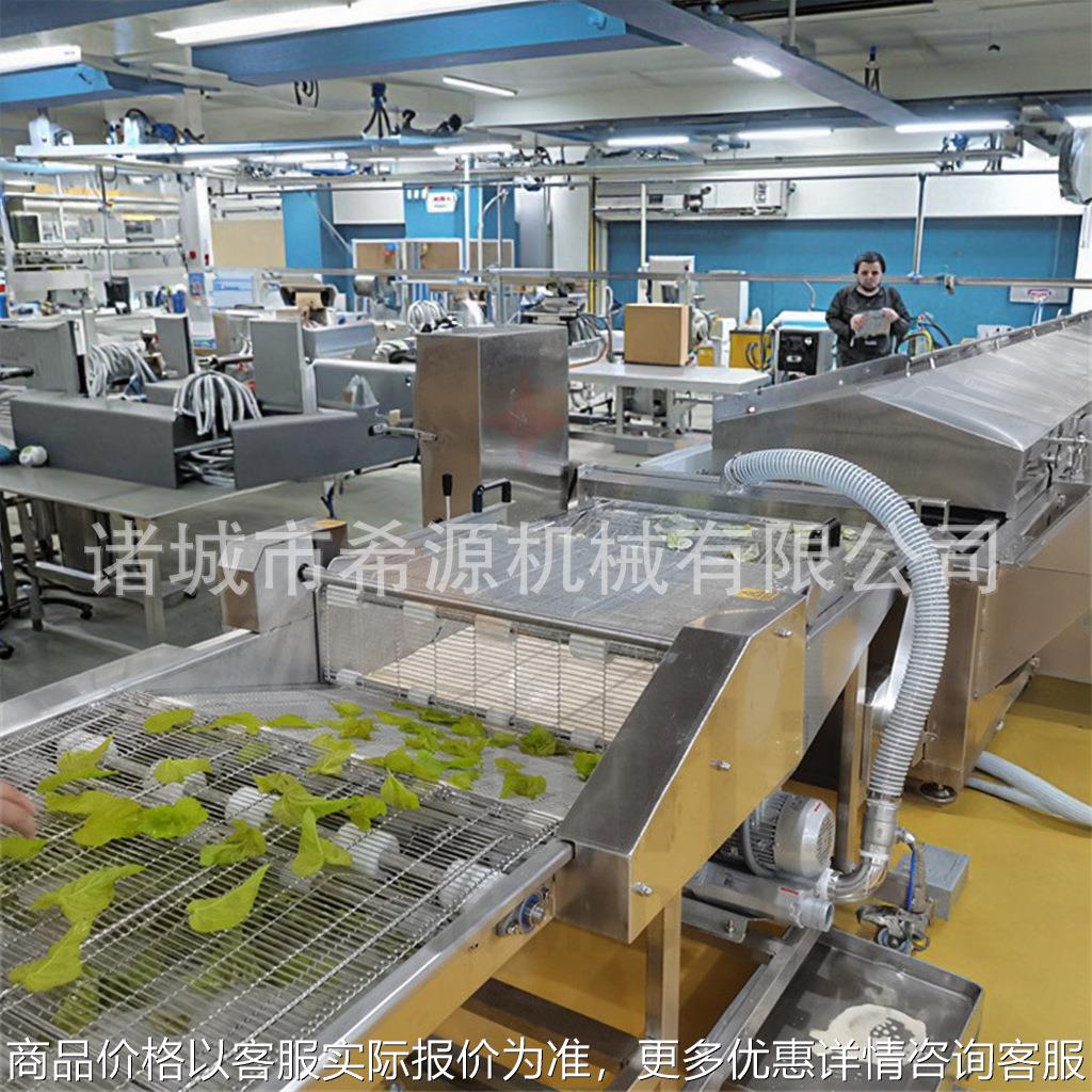 香酥翠叶上浆机 翠叶淋浆油炸机 桑叶裹浆高温油炸生产线