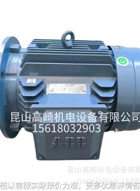 原厂原装电机22002-30 2极三相异步电动机411自冷