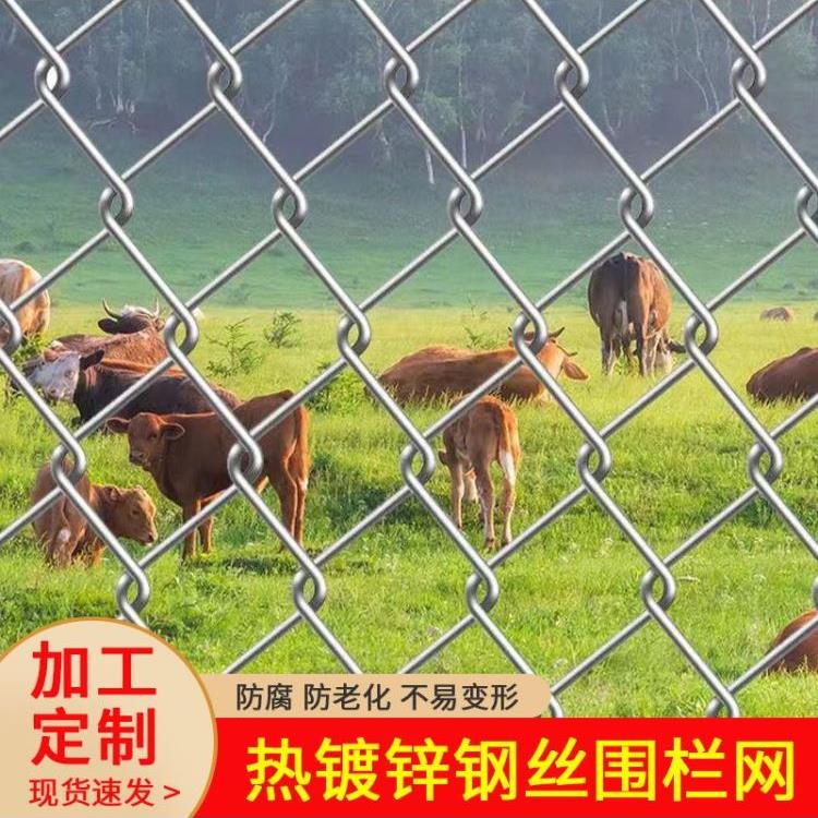 热镀锌铁丝网养鸡牛羊加粗超硬养殖网勾花网户外防锈防腐专用围栏