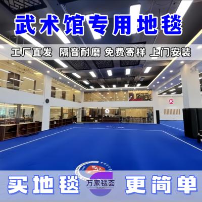 武术馆专用地毯定制加厚耐磨散打训练跆拳道舞蹈家用卧室走廊舞台