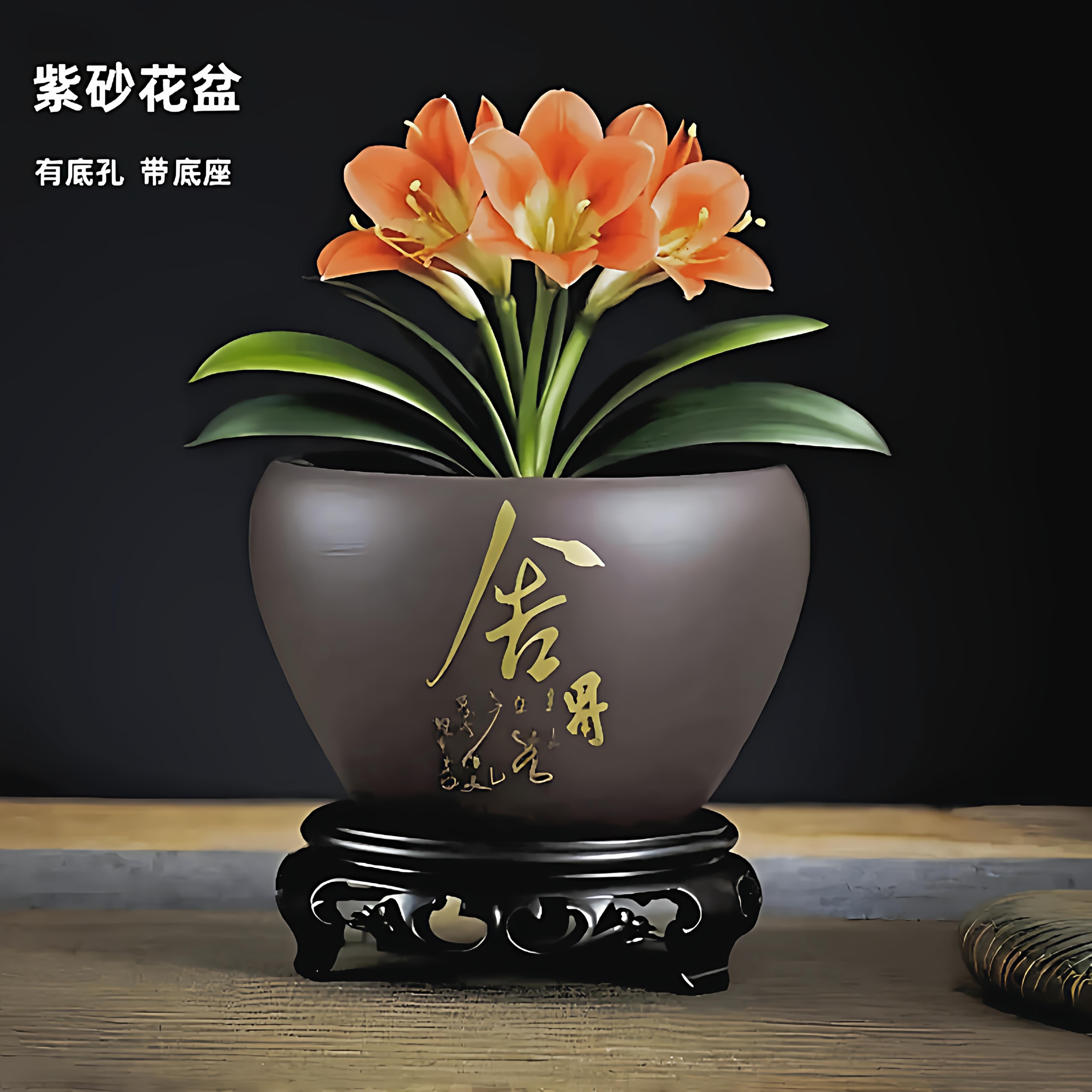 花盆陶瓷紫砂透气盆景大号蝴蝶兰兰花君子兰专用绿植底座罐室内