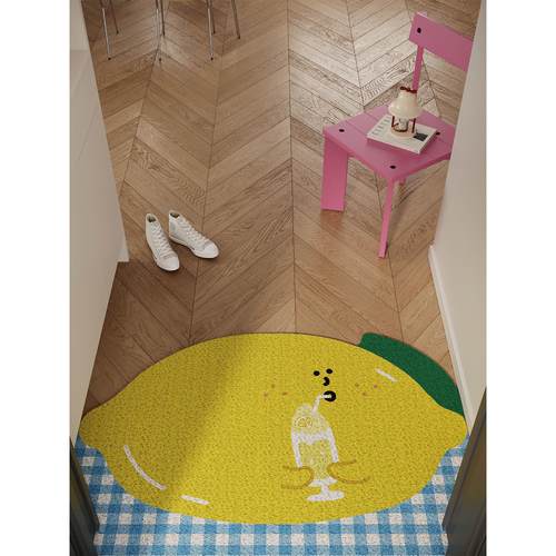 韩式可爱入口地垫，钢丝圈，防滑，防污脚垫，门，除尘家用地毯，