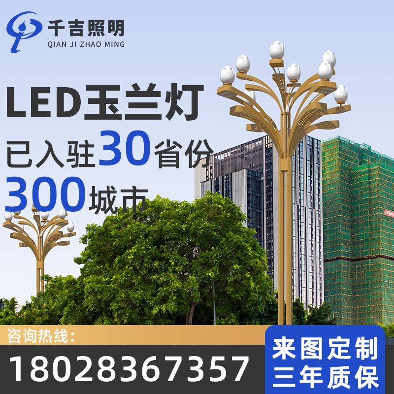 中华灯广场道路大型户外led景观灯9米12米八叉九火玉兰灯厂家