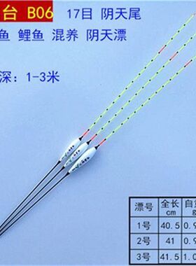 渔仙台B06纳米漂不吃水浮漂综合混养鲫鱼鲤鱼阴天尾浮标钓具