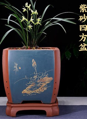 宜兴精品c紫砂特大四方兰花盆盆景盆桌面阳台送配套底座破损包赔