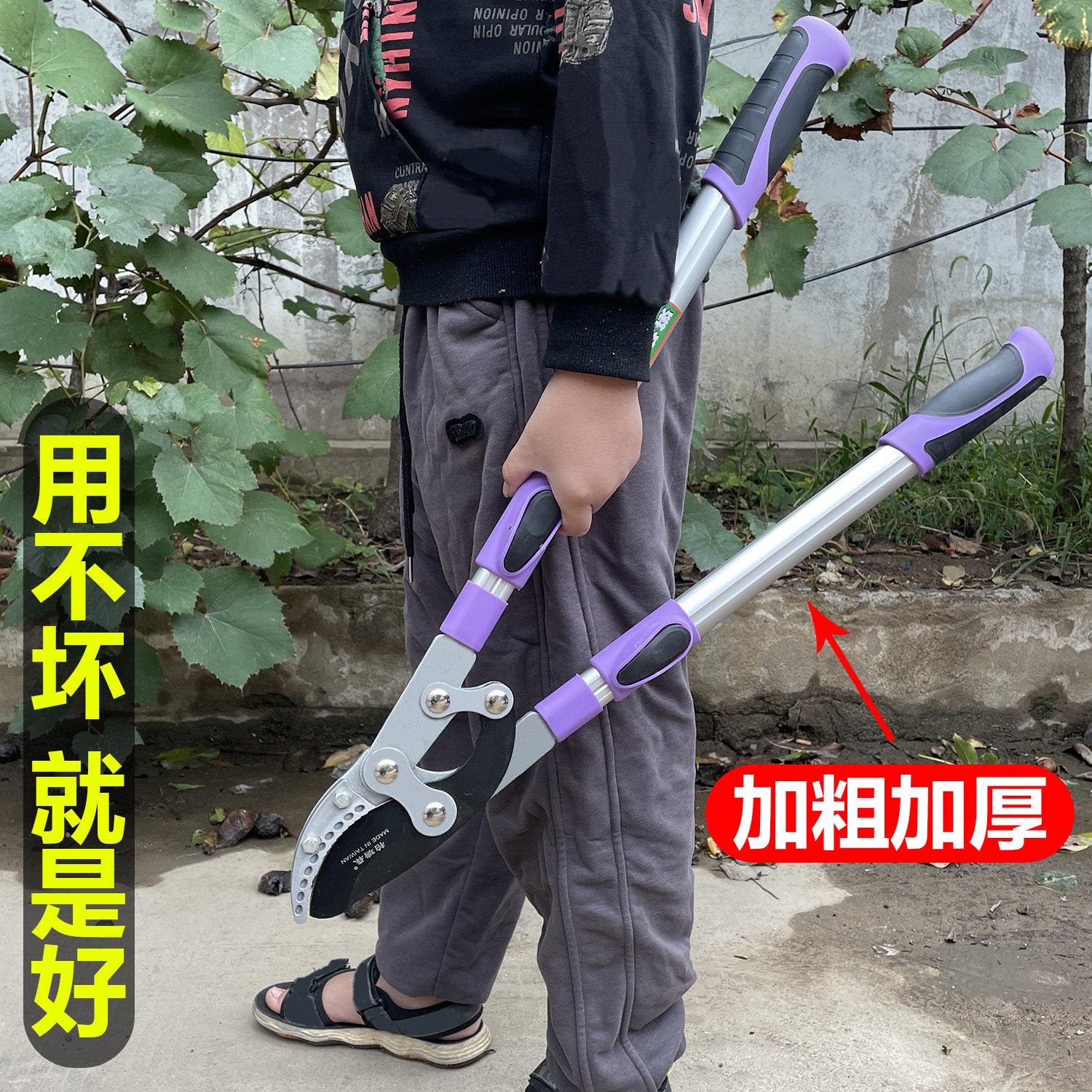 剪树枝专用大剪刀果树粗枝修剪专用伸缩省力大力修枝剪葡萄花桃