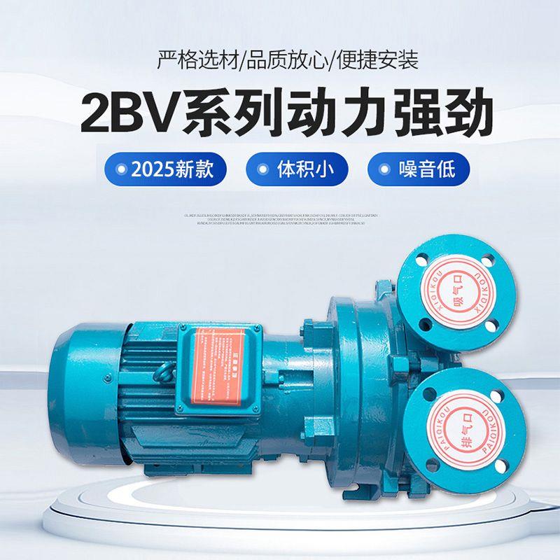 2BV水环式真空泵淄博水环负压大功率吸力工业水循环液环泵水环泵