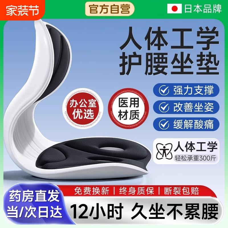 人体工学护腰坐垫靠背垫腰部支撑靠垫腰靠矫正驼背坐姿椅久坐神器