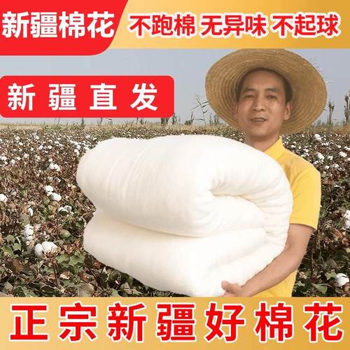 13斤新疆棉花被子手工纯棉被芯棉絮棉胎加厚单人床垫被褥子冬被