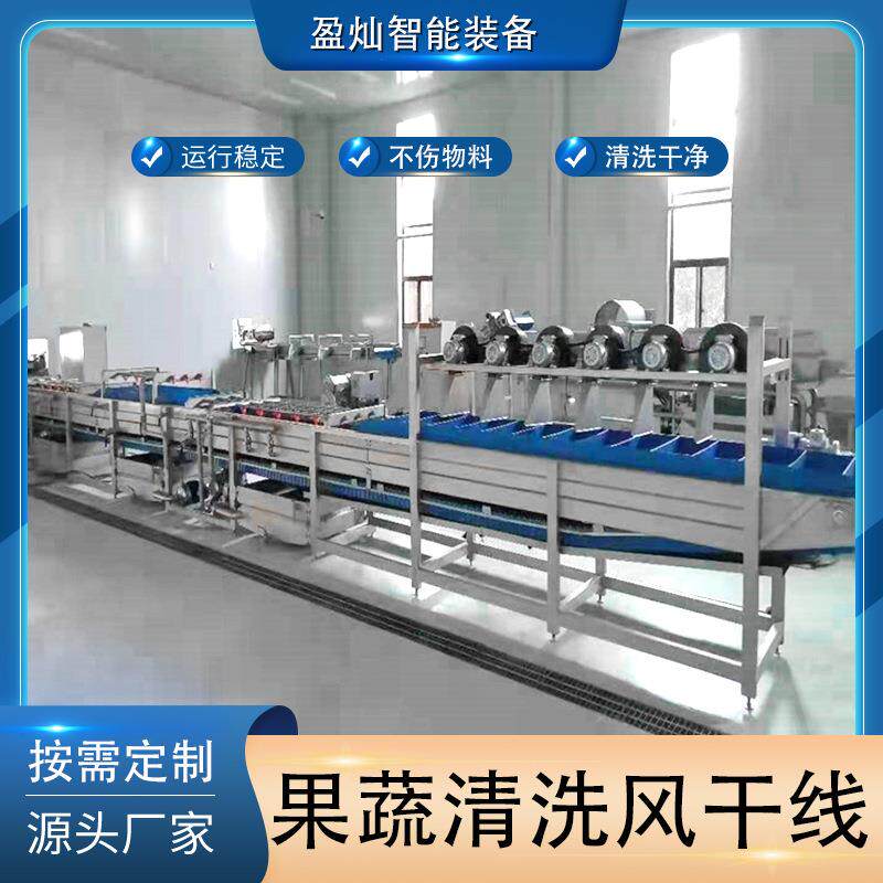 果蔬气泡清洗机蘑菇金针菇菌类清洗机萝卜杏子蓝莓地瓜清洗设备