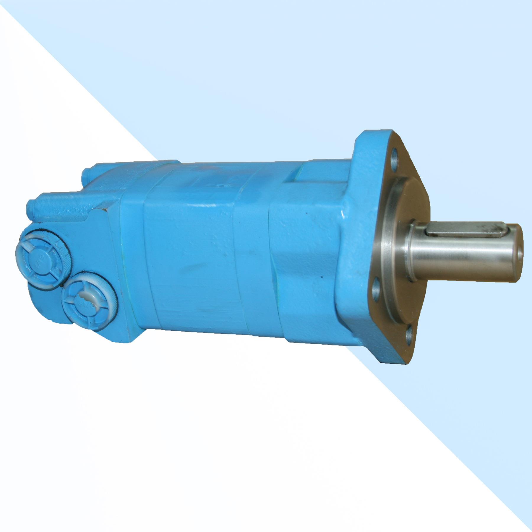 液压马达50T80T注塑机马达BM5-160OMS250立式机加料储料马达直销