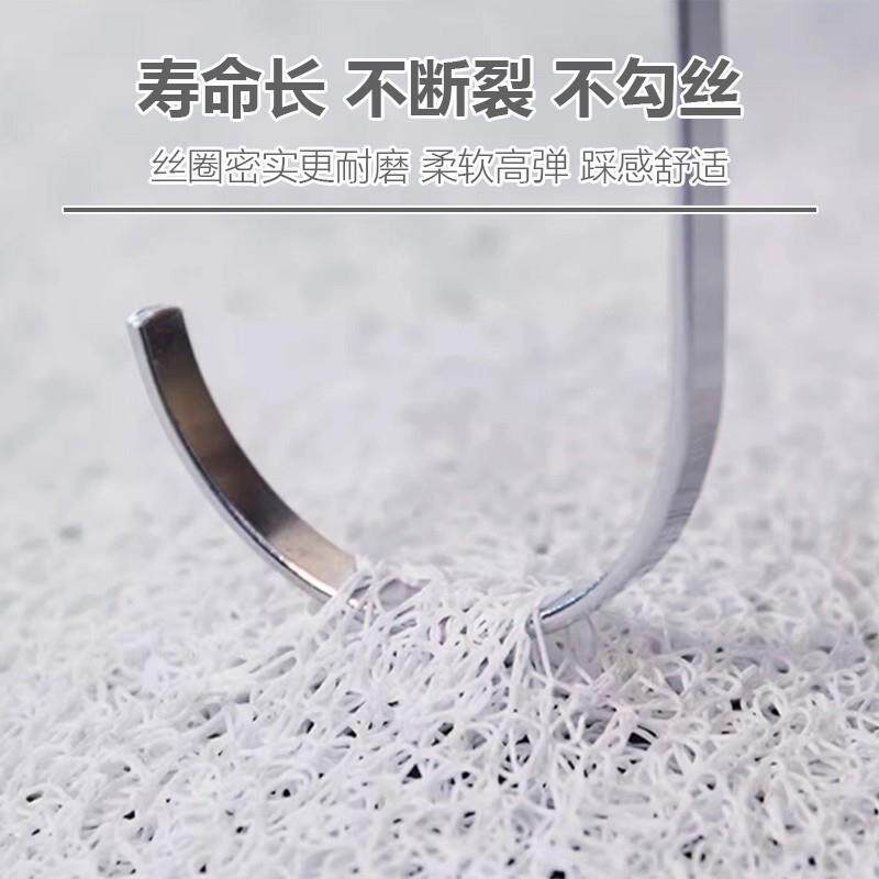 风水玄学地垫入户门门外专用高级感蓝色门口进门丝圈加厚入户门垫