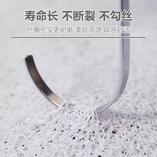 风水玄学地垫入户门门外专用高级感蓝色门口进门丝圈加厚入户门垫
