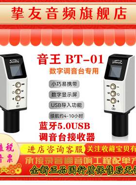 Soundking/音王 BT-01蓝牙5.0USB音频数字混音器手机接收器DM20m