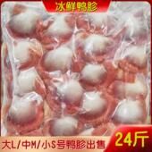 新鲜鸭胗冷冻鸭肫鸭珍鸭肉 24斤12包 饭店卤菜商用另有鸭头鸭脖等