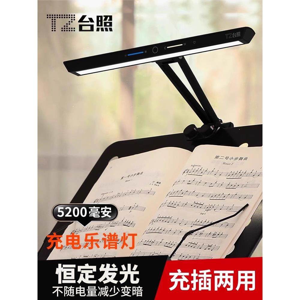 台照乐谱灯练琴专用护眼灯充插两用小提琴古筝吉他演奏乐谱架夹灯,家装灯饰光源,阅读台灯(护眼灯/写字灯),淘宝优惠券,粉丝福利购,淘宝优惠卷