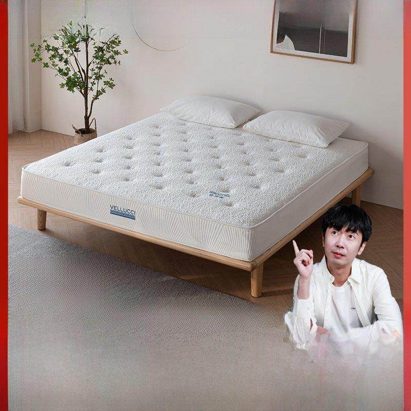 【M】大自然乳胶山棕片丝护脊床垫五星睡眠 塞菲雅,住宅家具,黄麻/棕榈床垫,淘宝优惠券,粉丝福利购,淘宝优惠卷