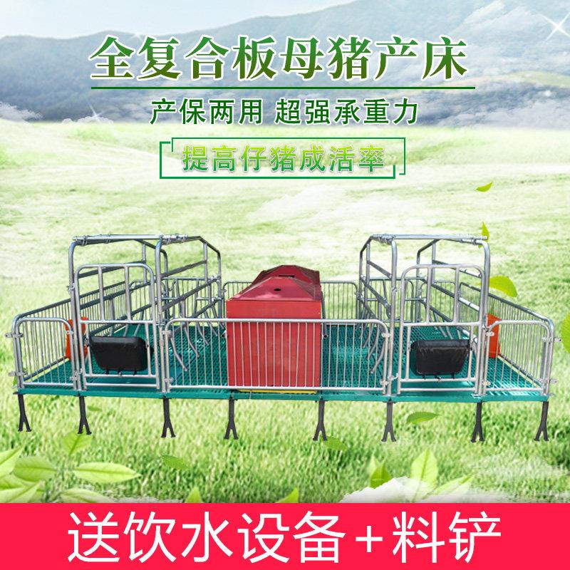 双体母猪产床仔猪保育床一体两用分娩产保床限位栏仔猪栏养殖设备