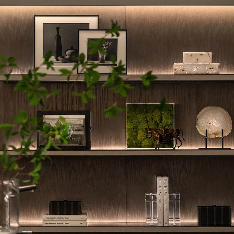 简约现代家居电视玄关柜背景墙展示柜样板间装饰画彷真苔藓摆件