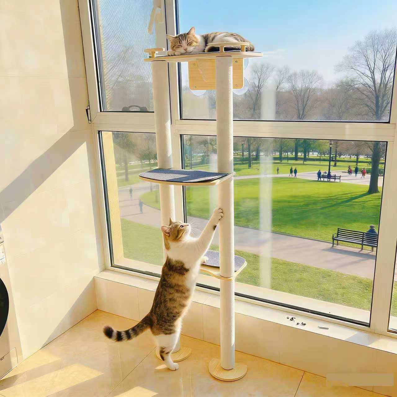 吸盘窗户实木猫爬架猫吊床简约组装超大空间多层猫窝阳台壁挂式