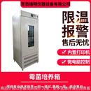 细菌微生物霉菌恒温培养箱 霉菌培养箱 实验室智能恒温生化培养箱