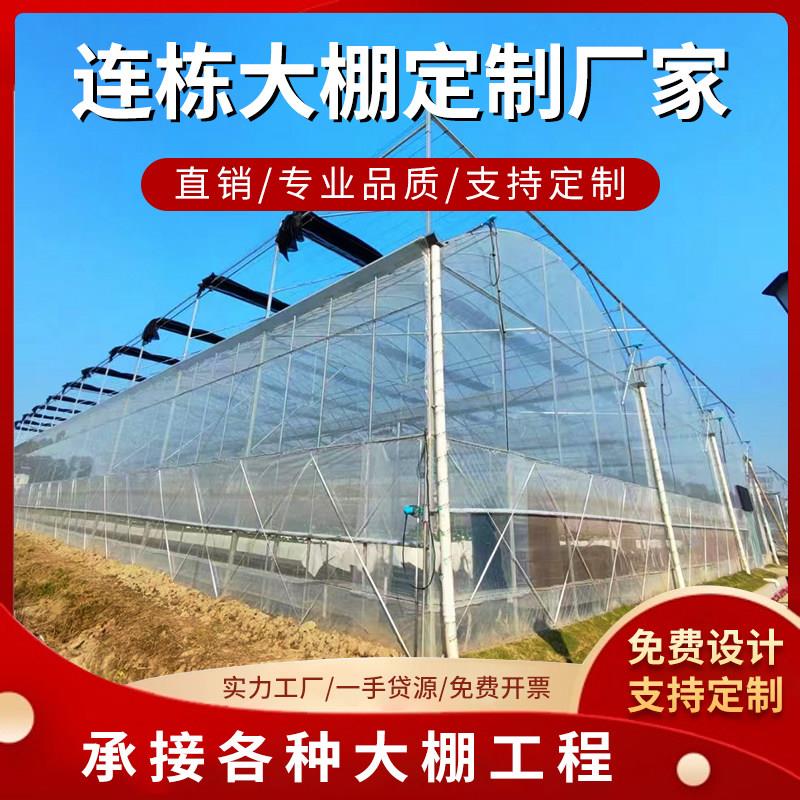 智能电动内外遮阳降温连栋大棚蔬菜花卉简易连体大棚骨架定制安装