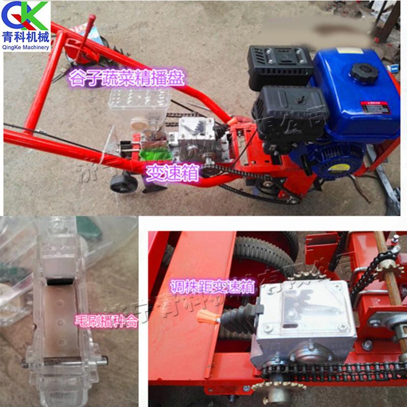 小型谷子种植机 汽油式单行蔬菜播种机 手推式旱田农作物点播机