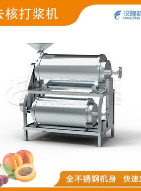 厂家直销MDJ1/2系列大型桃子樱桃枇杷芒果去核打浆机果蔬打浆机