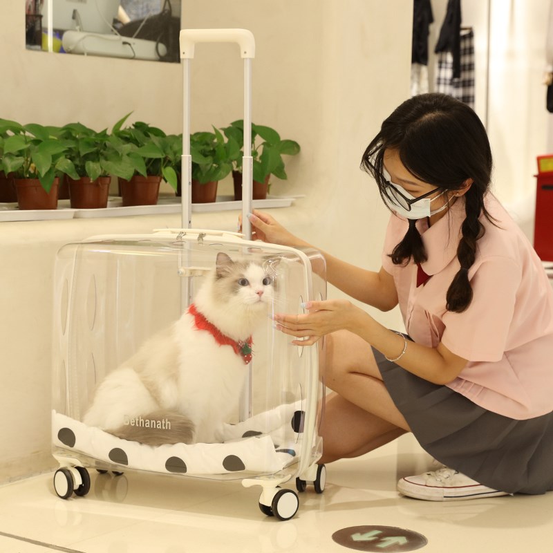 猫包拉杆箱宠物外出便携r狗狗小推车行李箱猫咪大容量透明太空舱