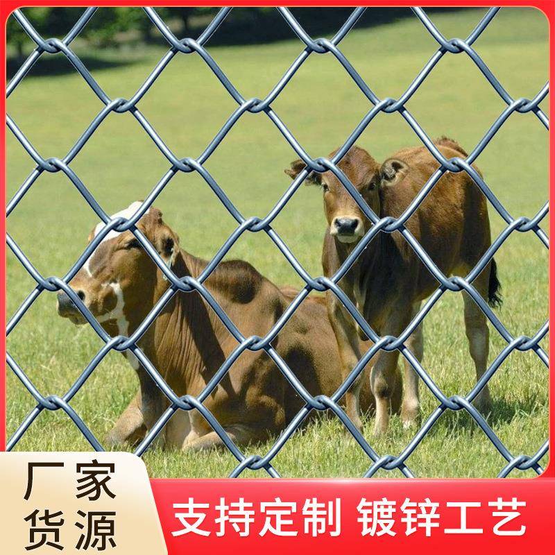 家畜养殖勾花网工艺插画铁丝网植物攀爬墙面装饰勾花网镀锌活络网