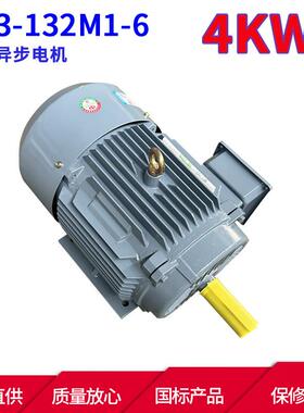 YE3系列三相异步电动机YE3-132M1-64W6极三相异步电机马达