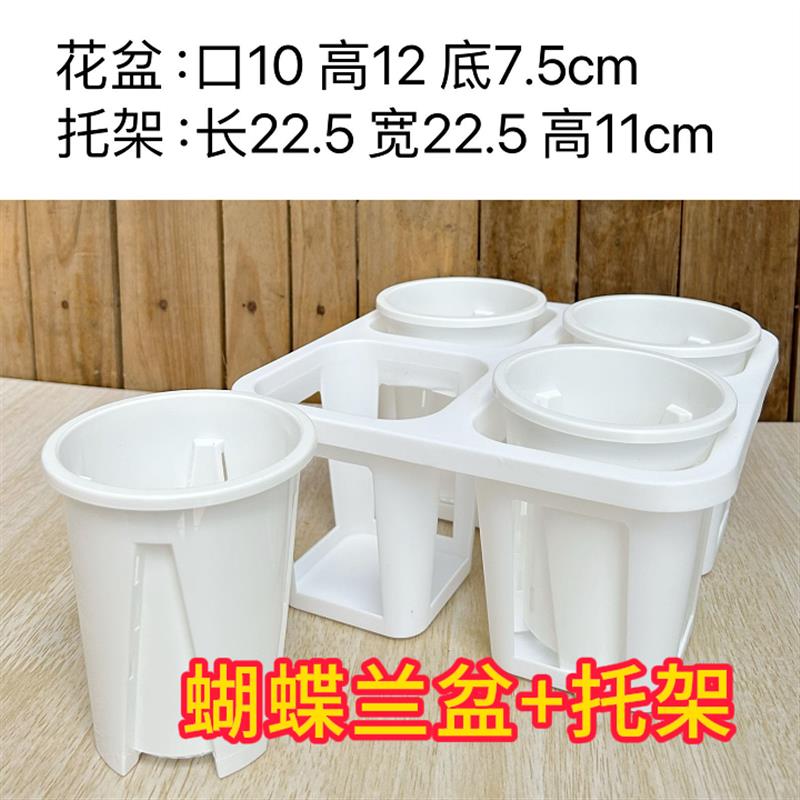 蝴蝶兰组合盆托架铁皮石斛苗兰花专用控根花盆架带孔透气定植盆图片