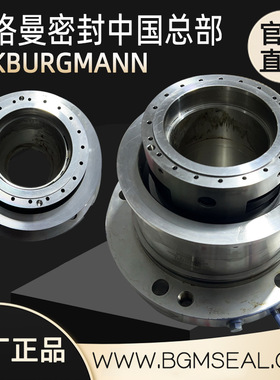 德国GEA基伊埃XB.XD,90MM,PLAN52双螺杆压缩机冷冻机密封