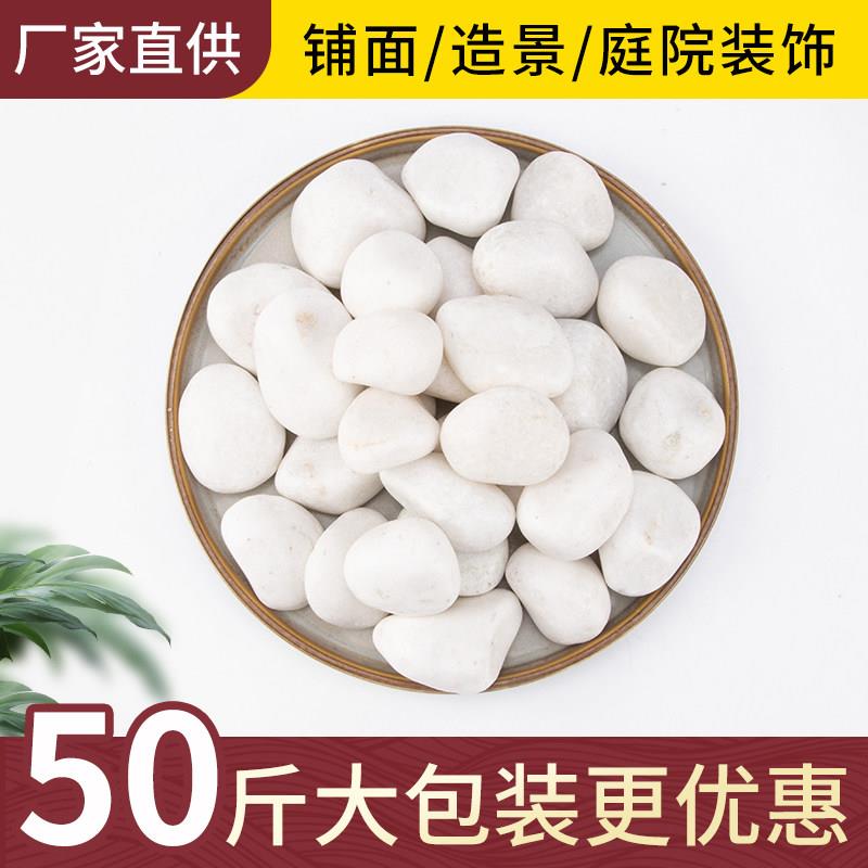 50斤白石子阳台庭院铺地铺路造景鱼缸装饰白色石头鹅卵石雨花石