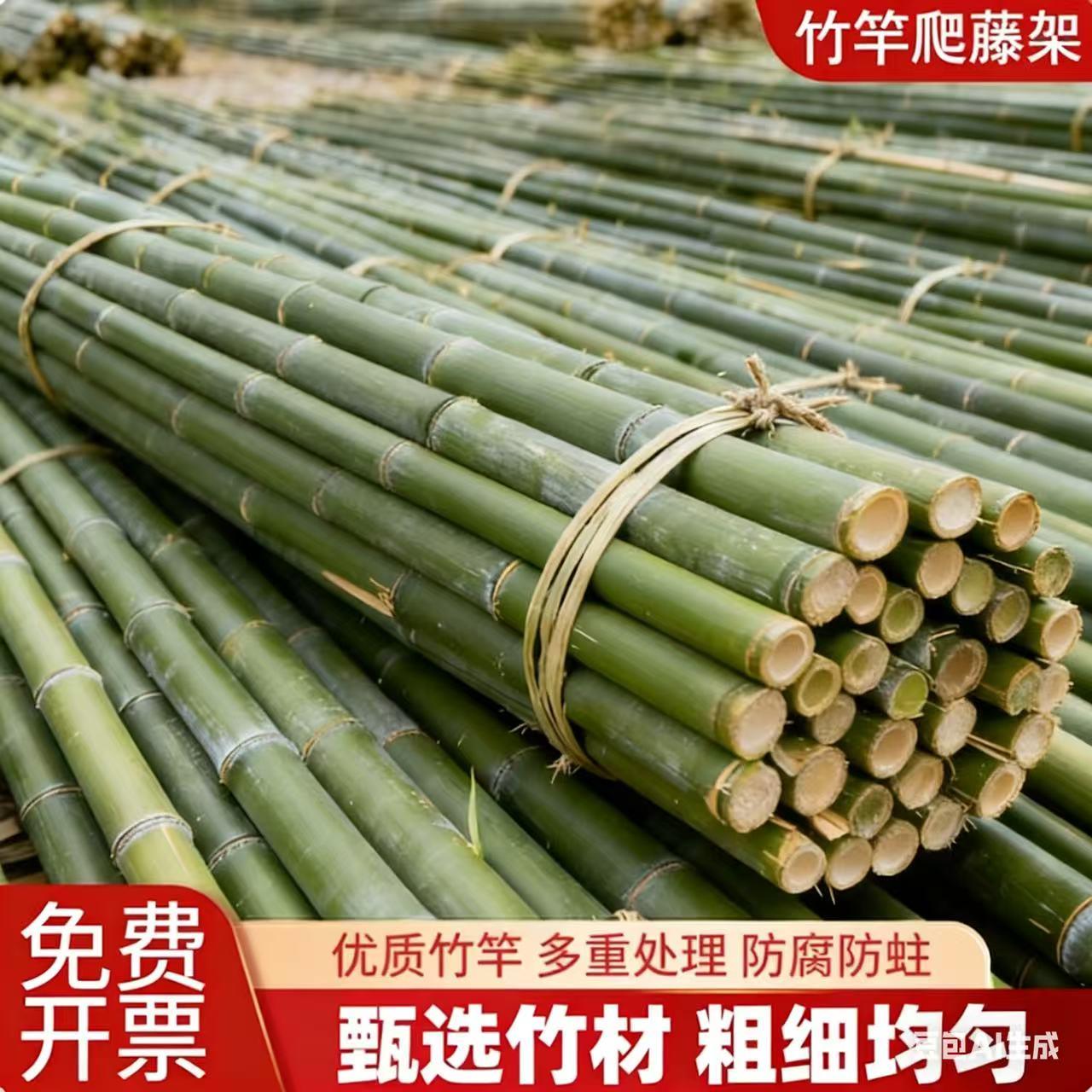 100根菜园搭架竹竿豆角黄瓜爬藤架园艺篱笆围栏棋杆竹竿瓜果支撑